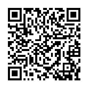 人体科学……无数领域都发生了狂飙猛进的突破二维码生成