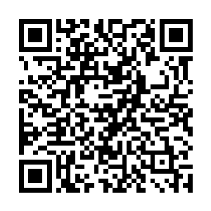 人修中难得有我这么光明磊落有一说一有二说二的修士二维码生成