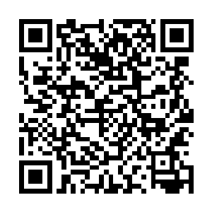 人元果果树上就有一股肉眼可见的澎湃元气被它吸入了口中二维码生成