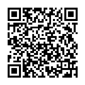 人元金丹固然可以轻轻松松的破掉眼前的水之领域二维码生成