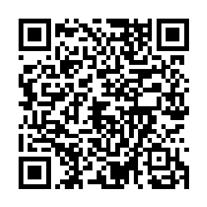 人到中年的白人艺术指导唐纳德－格雷厄姆－伯特二维码生成