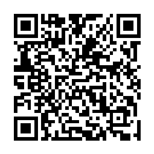 人口总不能我们帮着生……从无到有培养成人至少十五年二维码生成