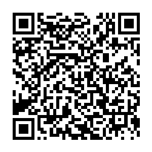 人家会说她这个器灵太不识时务了人家作为一个人类仙人对你仁至义尽二维码生成