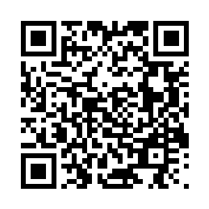 人家可是这个世界上独一无二的神兽哦二维码生成