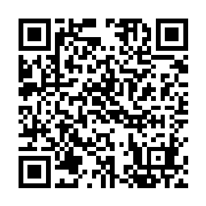 人家征求一下自己的意见不过是表示一下对自己的尊重二维码生成