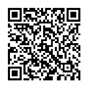 人家才刚刚把虚灵吃了还没来得及说主人就去拿起来了二维码生成