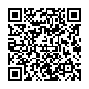 人家有能量动用魔宫一宫人马来收拾你…干笑一声二维码生成