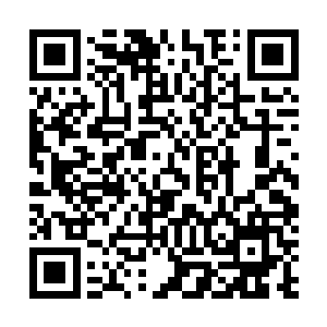 人家有钱的老总投资电视电影是为了赚钱或者和明星交流二维码生成