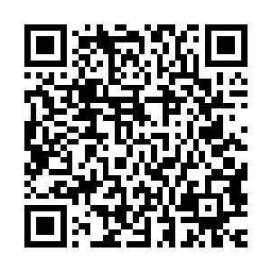 人家林烽可是有一个开着价值上百万敞篷跑车的白富美女朋友啊二维码生成