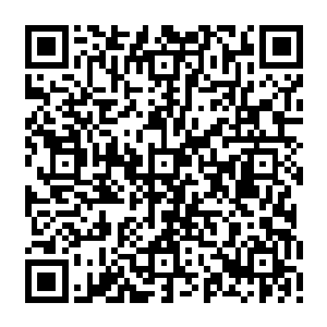 人家根本就不屑一顾――要不是让叶温柔每年把你打一顿――有时候也会多打几顿二维码生成