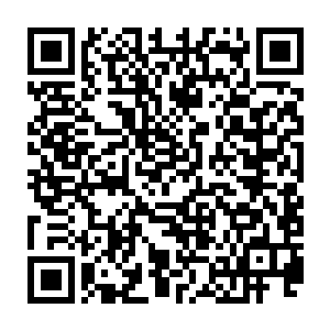 人家燕山魂只是随随便便地扔了八块仙晶就把地灵族族长难到了如此程度二维码生成