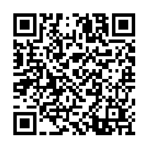 人家的七星功法都撼动不了羊一诚一根鼻毛好吗二维码生成