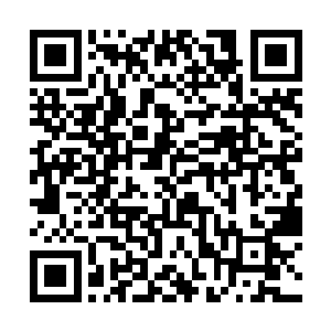 人家看的是里面蕴含的精神力以及所表现出来的感情二维码生成