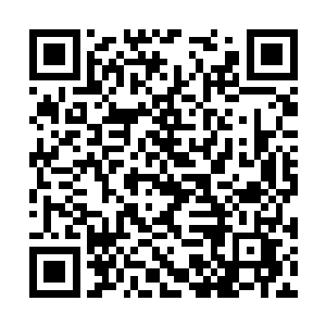 人家知道你是全宇宙最善良也最聪明的人工智能了二维码生成