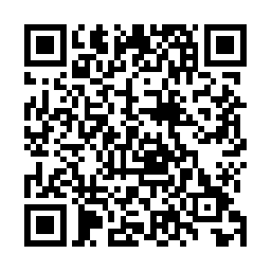 人家老夫妇两人没想到卖这么块还有一些东西没有整里完二维码生成