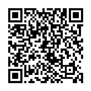 人家这师傅可是白主还未成名时就已经是名震天下的人物啊二维码生成