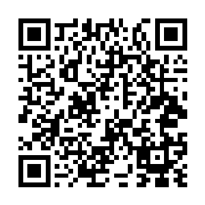 人家都是要有专业的投资和财务顾问进行评估之后二维码生成