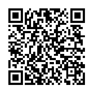 人家长那么大一对翅膀想要跑到远处玩也在情理之中二维码生成