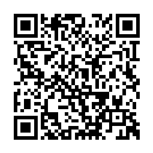 人就转脸看向在那里瞪眼睛瞪得忘了说话的小刘二维码生成