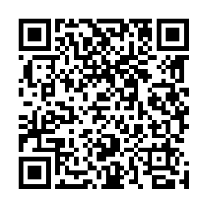 人形骷髅虫出现在两千里外正在赶来的战将老四和符妖面前二维码生成