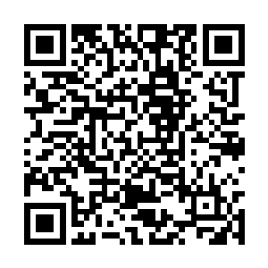 人形骷髅虫只是身体发出奇怪的白芒便轻松化解了二维码生成