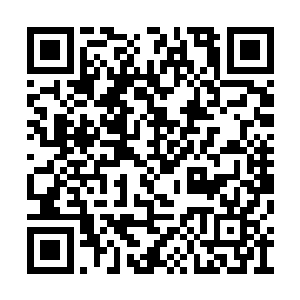 人形骷髅虫和骑着双头裂体兽的江帆飞到屠宰场二维码生成