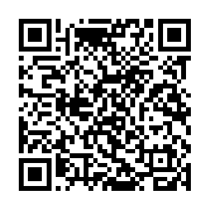 人形骷髅虫已是摧毁了三个区的工厂和在建的屠宰场二维码生成