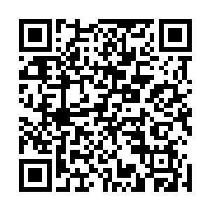 人形骷髅虫美滋滋的继续吸纳地下的符咒灵性能量恢复实力二维码生成