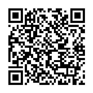 人心是不一样的有的人愿意相信别人例如顾晶晶这样的二维码生成