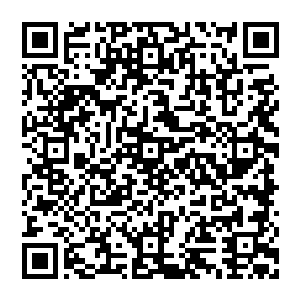 人族与魔族围绕着铁围山核心一环山脉内发现的巨量的地元水晶矿脉进行的这场会战已经持续了将近一年多二维码生成