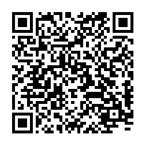 人族与魔族大阵双方的两片血肉差不同同时再次从双方的大阵上崩溃脱离二维码生成