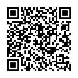 人族之中的大地骑士已经是太夏刺史和车骑将军一级的大员二维码生成