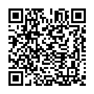 人族历史上没有任何一个专修法家的四境大儒的法典超过一尺二维码生成