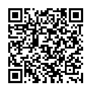 人族和妖族都只会将我们这些杂种看做低贱肮脏的产物二维码生成