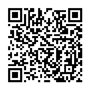 人族最终或许仍然要从塞尔内斯战区完成战略撤退二维码生成