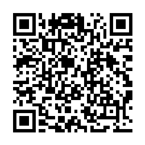 人族最近的55师已经在一百公里外的正面战场压了上来二维码生成