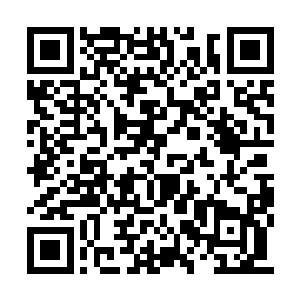 人族的先辈们将与那门户相连的大域彻底清空了二维码生成