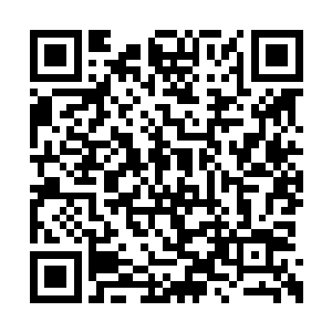 人族营地里的强者们本来就处在胆怯和害怕之中二维码生成