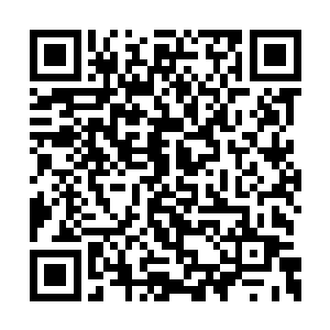 人榜前十几乎都是天人合一或者拥有这份战力的二维码生成