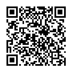 人气增涨的速度更是如同炙热七月的撒哈拉大沙漠二维码生成