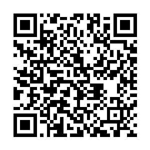 人物的行动交代得很清楚……萨尔维的镜头真是棒呆了……二维码生成
