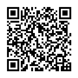 人生数百年数千年甚至数万年……怎么可能步步都正确二维码生成
