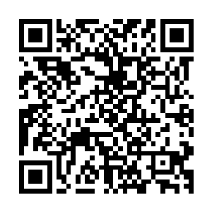 人生第一次的婚礼不管心里想了几遍进来之后还是有些紧张的二维码生成