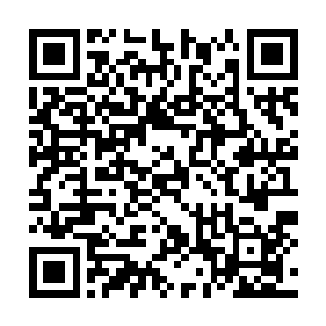 人生阅历和知识自然不是陶开山这个小保安能比的二维码生成