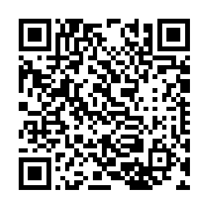 人界亿万凡人界估计也被控制了五千万个界面以上二维码生成