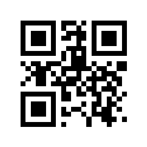 人的大二维码生成