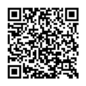 人皇宫乃是几个大种族之中最难开启传承的秘地二维码生成