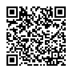 人类与蛋族绑定的最佳年龄是二十到二十五岁之间二维码生成