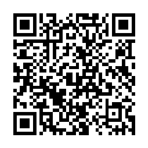 人类之中因为爱这种最美好的情感与喜悦而产生的行为二维码生成