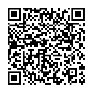 人类修者彻底绝望了――那是就算人类有地仙都无法抵抗的灾害啊二维码生成